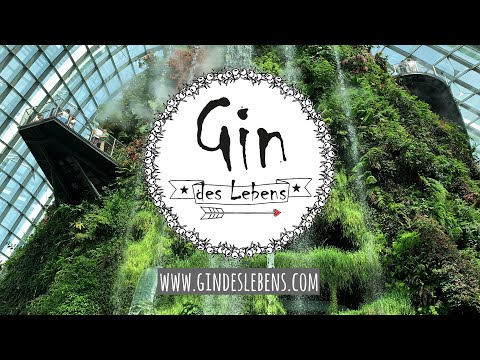 Singapur | Singapore Gardens by the Bay, Cloud Forest, Flower Dome &amp; OCBC Skywalk - Singapore Part 2