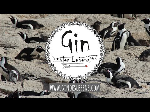 Boulders Beach Penguins South Africa | Pinguine am Boulders Beach Südafrika