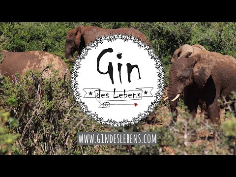 Addo Elephant Park Big Five Safari South Africa | Südafrika