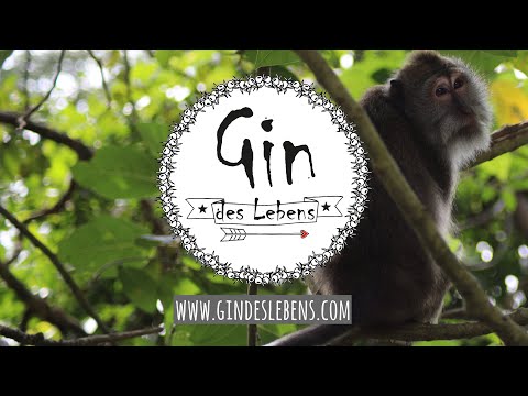 Monkey Forest Ubud Bali Indonesia | Affenwald Ubud Bali Indonesien