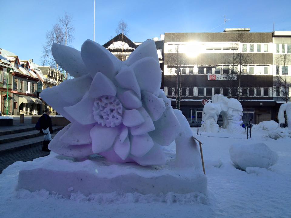 Tromsø ©Ines Erlacher und Thomas Mussbacher