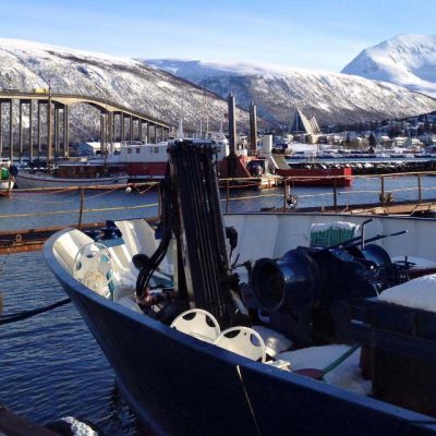 Blick auf den Hafen und die Eismeerkathedrale Tromsø Norwegen Sehenswertes, Hotel und Tipps www.gindeslebens.com