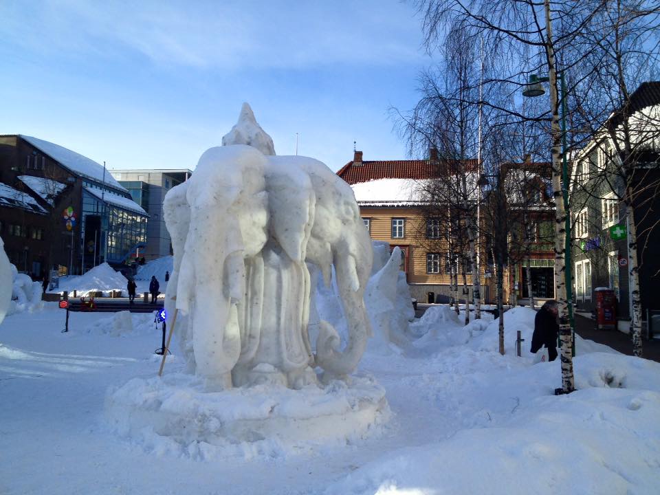 Tromsø ©Ines Erlacher und Thomas Mussbacher