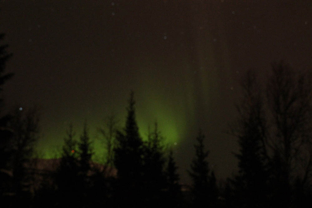 Nordlichter Aurora Borealis Polarlichter in Tromsø Norwegen Sehenswertes, Hotel und Tipps Tour Northern Lights Tromsø www.gindeslebens.com