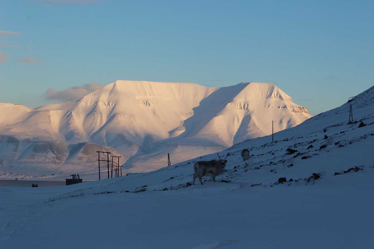 Rentier Coal Miner's Cabins Longyearbyen Spitzbergen © Ines Erlacher und Thomas Mussbacher