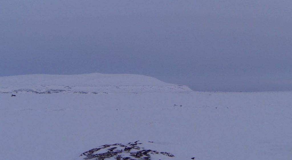 Schneemobil Expedition Spitzbergen Ostküste ©Ines Erlacher und Thomas Mussbacher