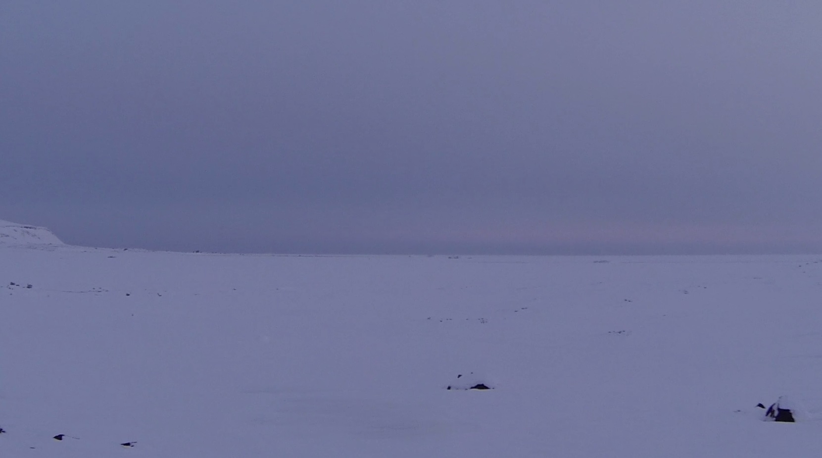 Expedition Spitzbergen Schneemobil