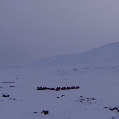 Schneemobil Expedition Spitzbergen Ostküste ©Ines Erlacher und Thomas Mussbacher