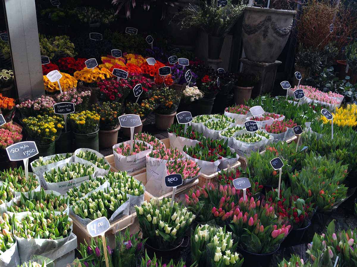 Blumenmarkt Amsterdam © Thomas Mussbacher und Ines Erlacher