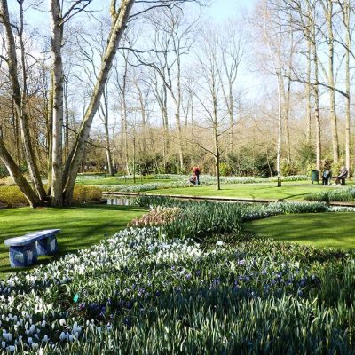 Keukenhof Frühlingsblumen Ausstellung Ausflugstipp Amsterdam Niederlande - Städtetrip Amsterdam Sehenswertes, Aktivitäten und Tipps www.gindeslebens.com