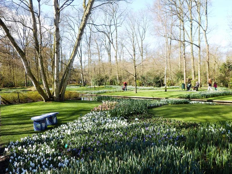 Keukenhof Frühlingsblumen Ausstellung Ausflugstipp Amsterdam Niederlande - Städtetrip Amsterdam Sehenswertes, Aktivitäten und Tipps www.gindeslebens.com