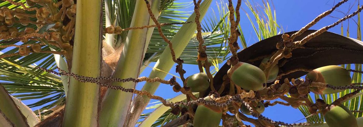 10 Reisebilder – Blogparade