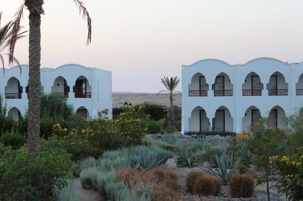 Anlage Hotel Gorgonia Beach Marsa Alam Ägypten Tauchparadies in der Krise www.gindeslebens.com