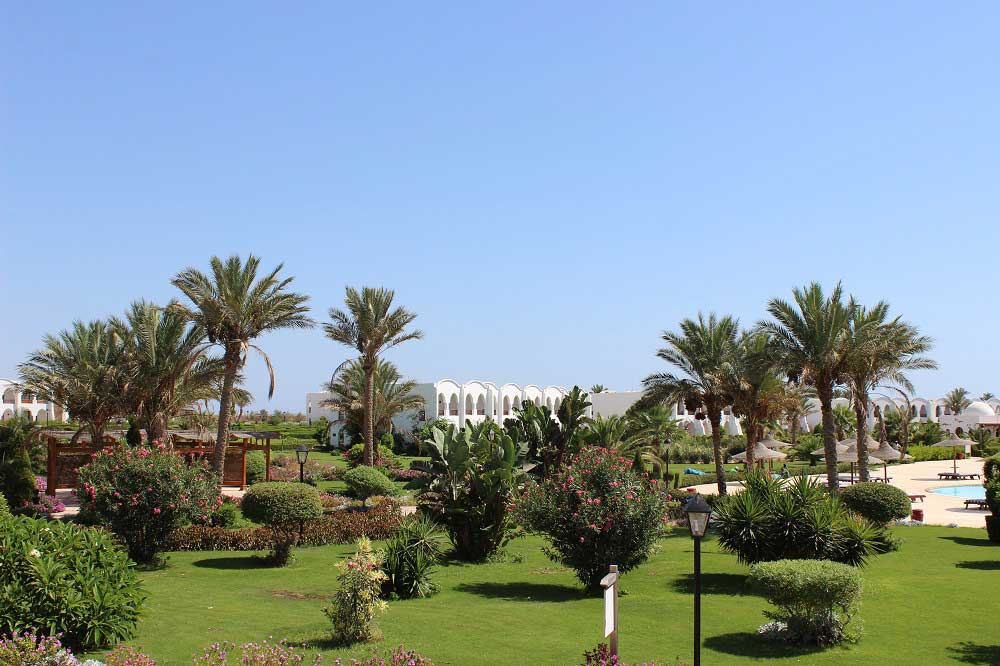 Hotel Gorgonia Beach Marsa Alam Ägypten Tauchparadies in der Krise Afrika www.gindeslebens.com