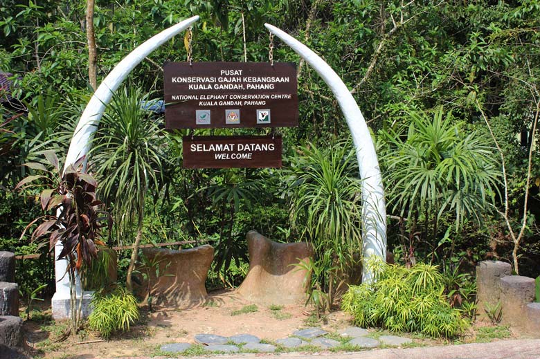 Elephant Sanctuary Kuala Lumpur Malaysia © Thomas Mussbacher und Ines Erlacher