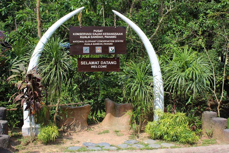 Elephant Sanctuary Kuala Lumpur Malaysia © Thomas Mussbacher und Ines Erlacher