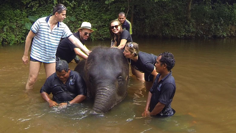 Elephant Sanctuary Kuala Lumpur Kuala Gandah Pahang Elephant Conservation Centre Malaysia