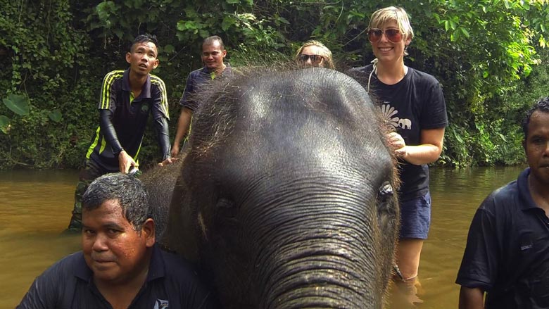 Elephant Sanctuary Kuala Lumpur Kuala Gandah Pahang Elephant Conservation Centre Malaysia