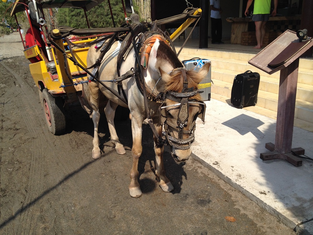 Gili Trawangan © Thomas Mussbacher und Ines Erlacher