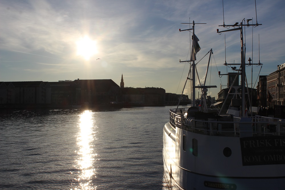 Nyhavn © Thomas Mussbacher und Ines Erlacher 