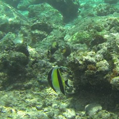 Gili Trawangan Unterwasser © Thomas Mussbacher und Ines Erlacher