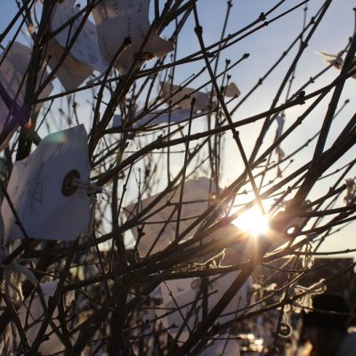 Yoko Ono Wish Tree Copenhagen © Thomas Mussbacher und Ines Erlacher