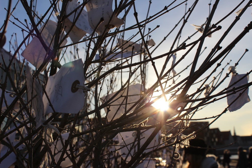 Yoko Ono Wish Tree Copenhagen © Thomas Mussbacher und Ines Erlacher