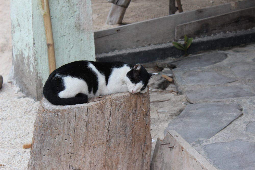 Gili Trawangan © Thomas Mussbacher und Ines Erlacher