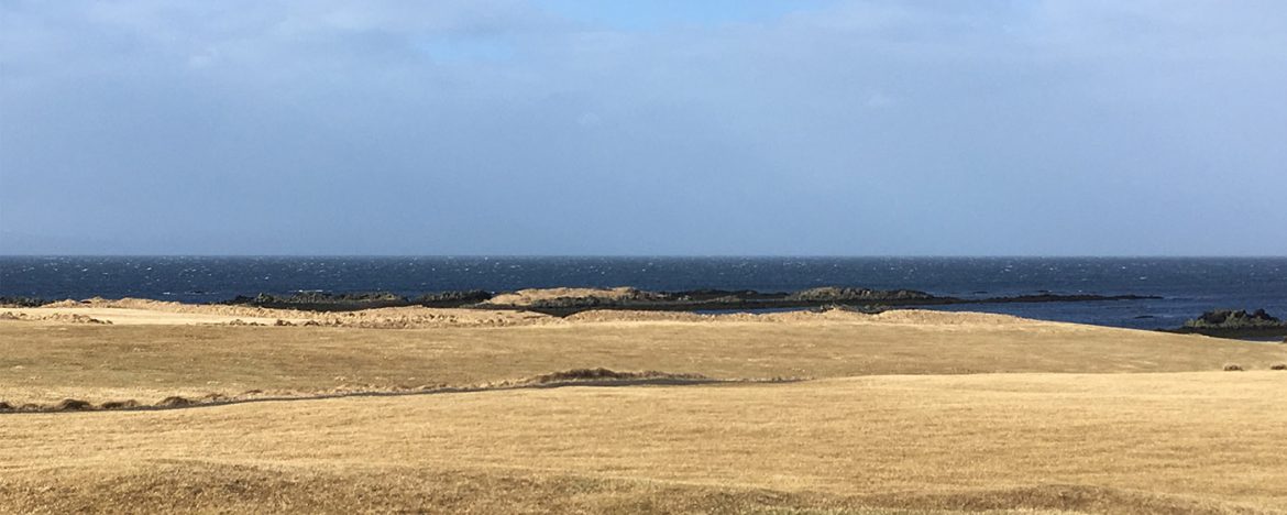 Islands Norden – Seehunde auf der Halbinsel Vatnsnes