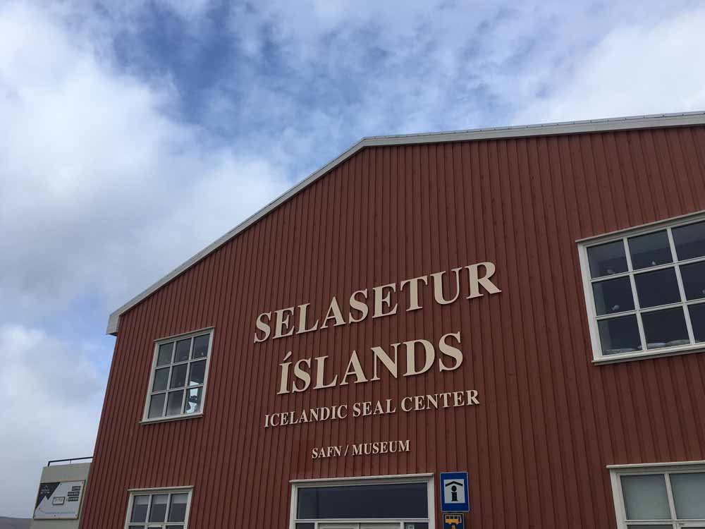 Hvammstangi Selasetur Seal Center Infocenter für Seehundsichtungen Islands Norden Roadtrip Island gindeslebens.com © Thomas Mussbacher und Ines Erlacher