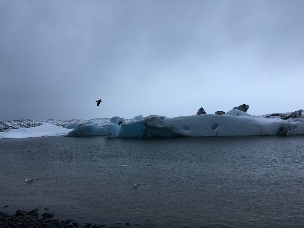 wundervolle Eisberge in der Jökulsarlon Gletscherlagune Roadtrip Islands Südküste gindeslebens.com © Thomas Mussbacher und Ines Erlacher