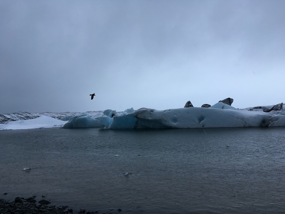 wundervolle Eisberge in der Jökulsarlon Gletscherlagune Roadtrip Islands Südküste gindeslebens.com © Thomas Mussbacher und Ines Erlacher 