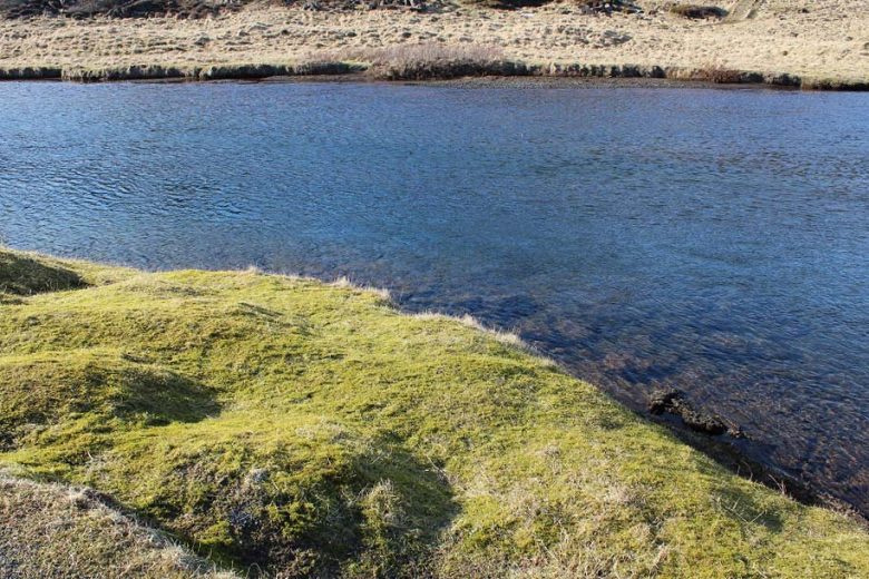 Nationalpark Thingvellir Island www.gindeslebens.com