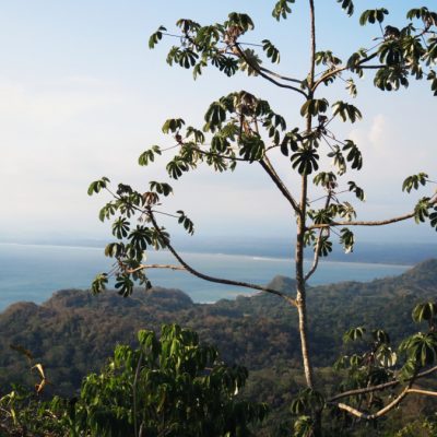 Playa Caletas Jaco Costa Rica http://www.atrailofglitter.net