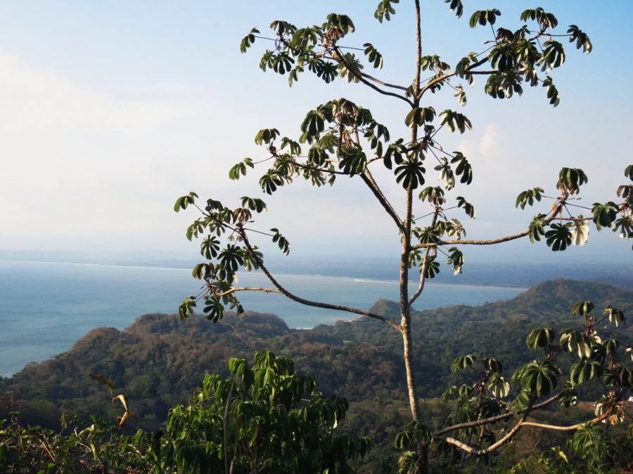 Playa Caletas Jaco Costa Rica http://www.atrailofglitter.net