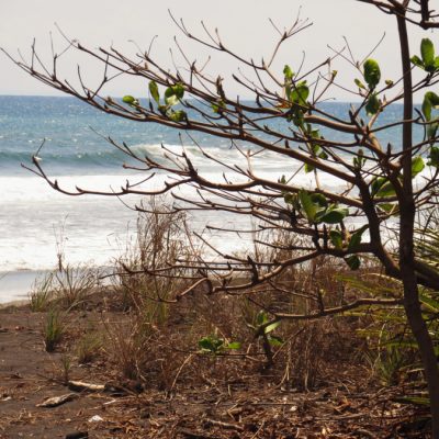 Playa Hermosa Jaco Costa Rica http://www.atrailofglitter.net