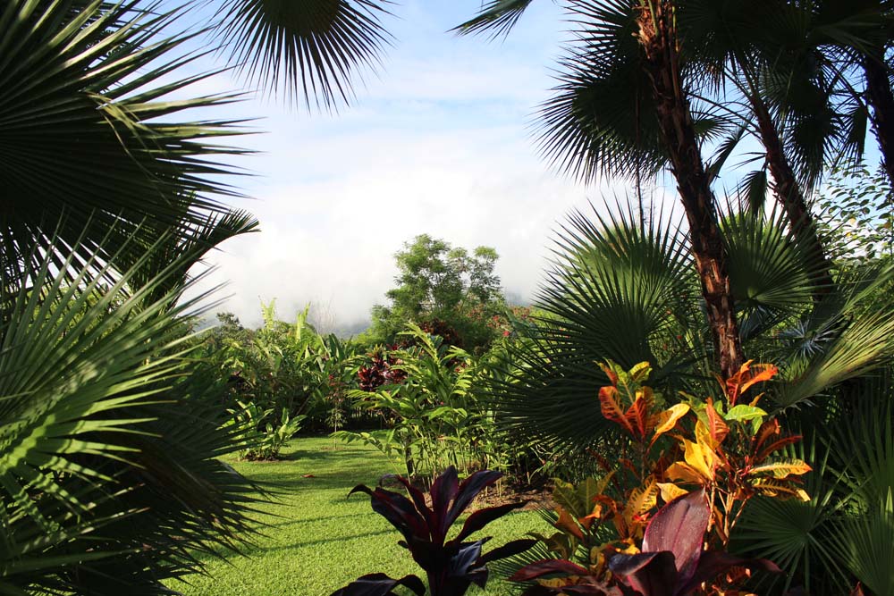 Vulkan Arenal La Fortuna Costa Rica www.gindeslebens.com