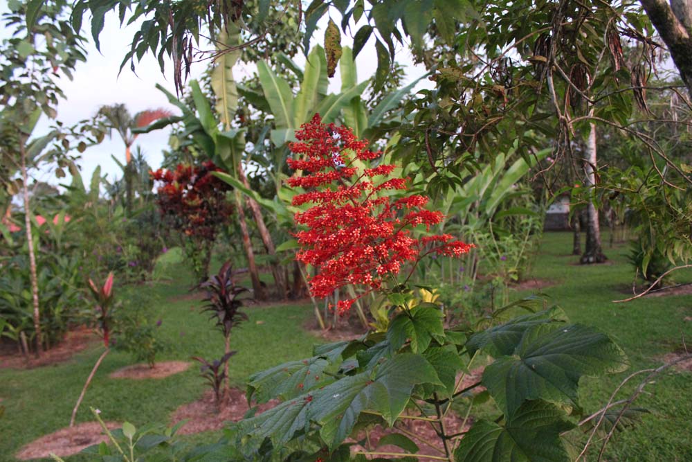 Gartenanlage Hotel Volcano Lodge Springs Costa Rica www.gindeslebens.com