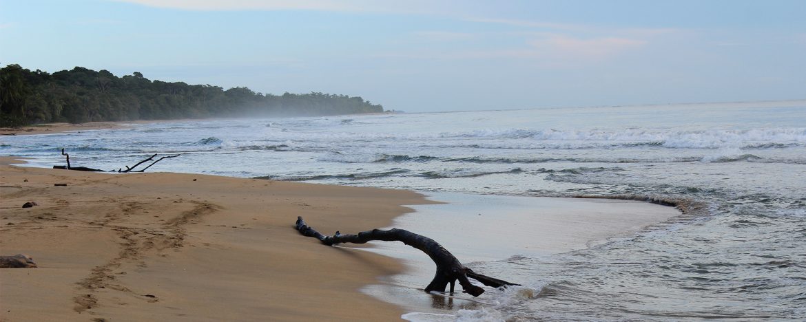 Costa Rica Pura Vida – 1 Woche Rundreise durch Costa Rica
