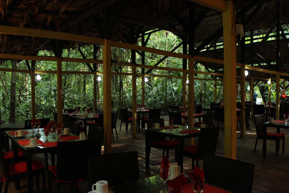 Restaurant Abenteuer Glamping im Dschungel Costa Ricas Almonds & Corals www.gindeslebens.com