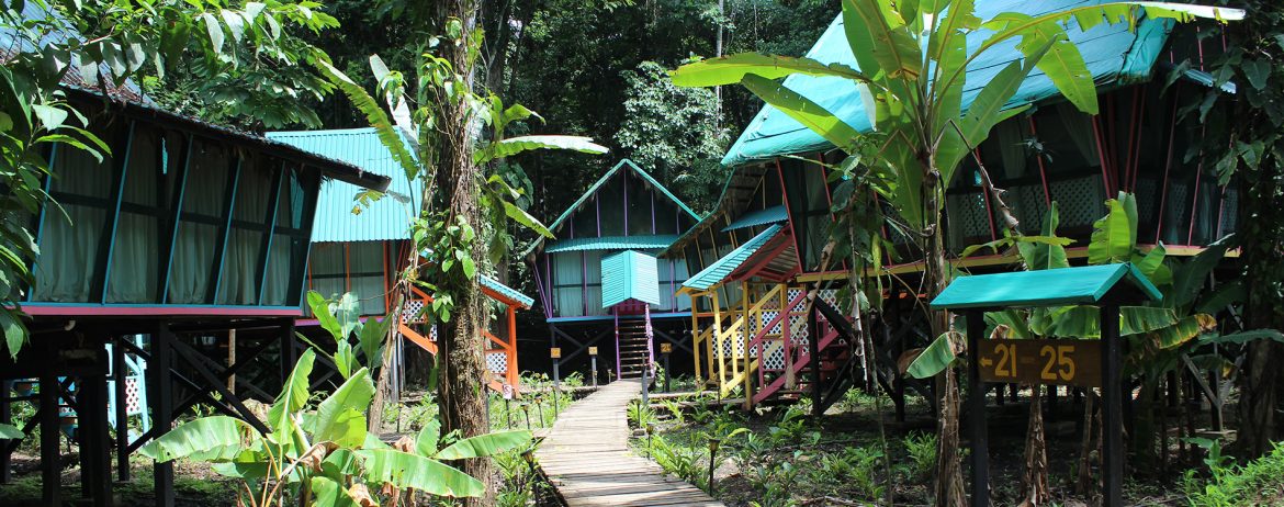 Almonds and Corals Costa Rica – Interview mit Marco Odio