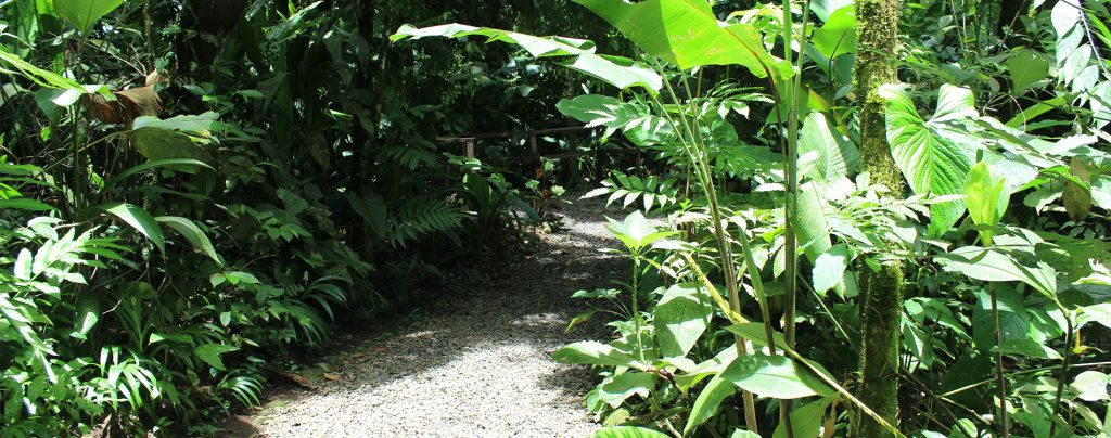 Ecocentro Danaus www.gindeslebens.com Ausflüge in und um La Fortuna