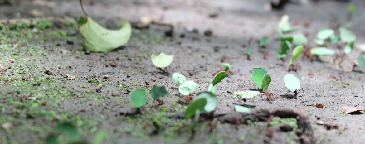 Unser Beitrag zur Foto-Challenge Buchtitel