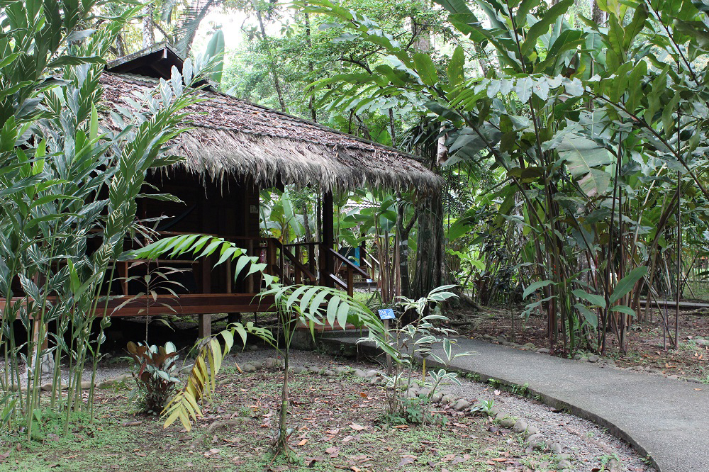 Hotel Cariblue Puerto Viejo de Talamanca Kribikküste Costa Rica www.gindeslebens.com