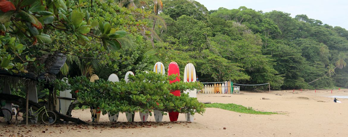 Karibikküste Costa Ricas – Bananen, Dschungel und Wildtiere