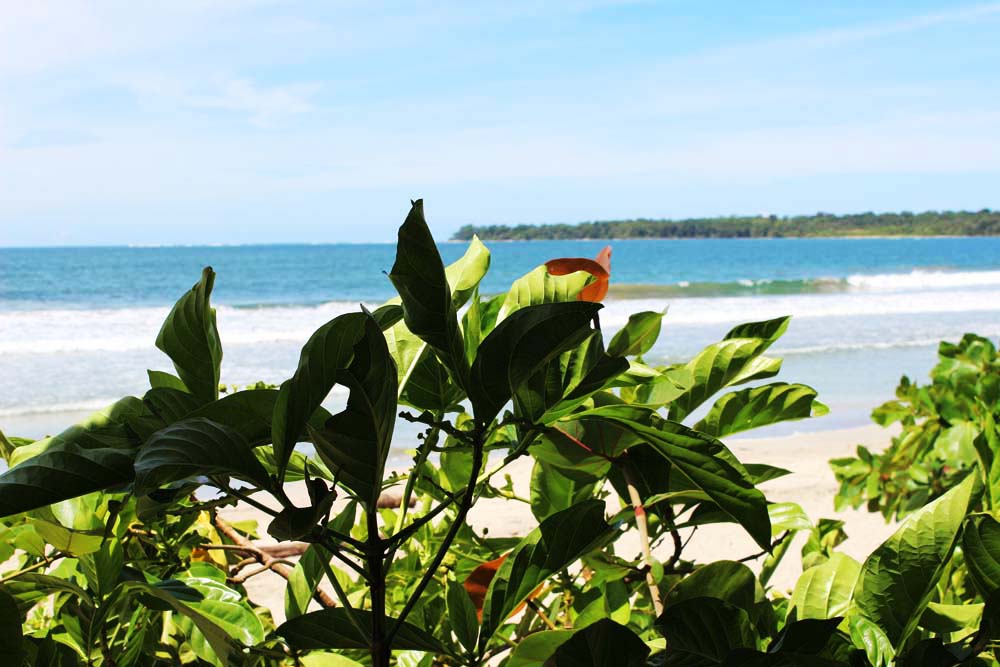 Strand Nationalpark Cahuita Costa Rica www.gindeslebens.com