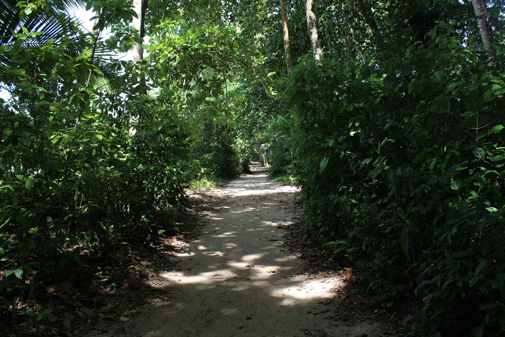 Weg Nationalpark Cahuita Costa Rica www.gindeslebens.com