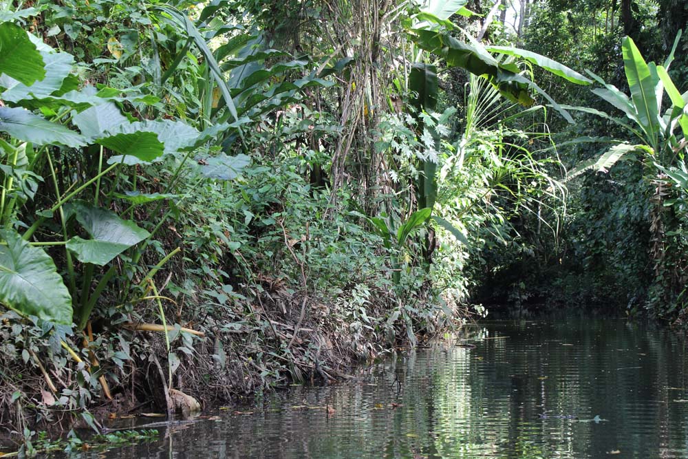 Bootstour Sloth Sanctuary Costa Rica www.gindeslebens.com