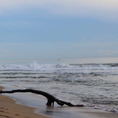 Strand Karibikküste Abenteuer Glamping im Dschungel von Costa Rica Almonds & Corals www.gindeslebens.com