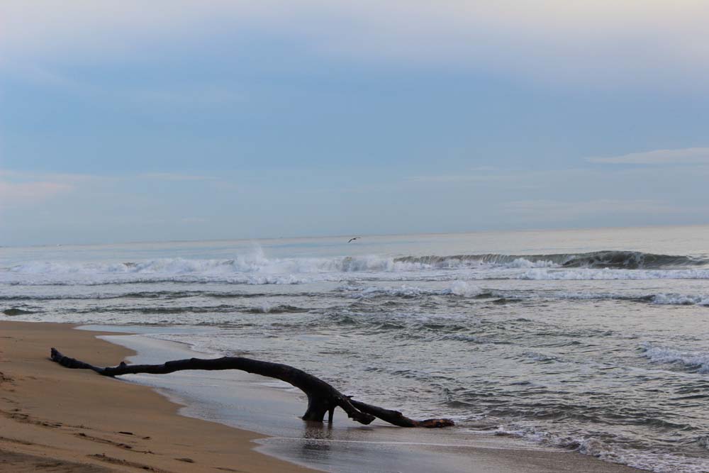 Strand Karibikküste Abenteuer Glamping im Dschungel von Costa Rica Almonds & Corals www.gindeslebens.com